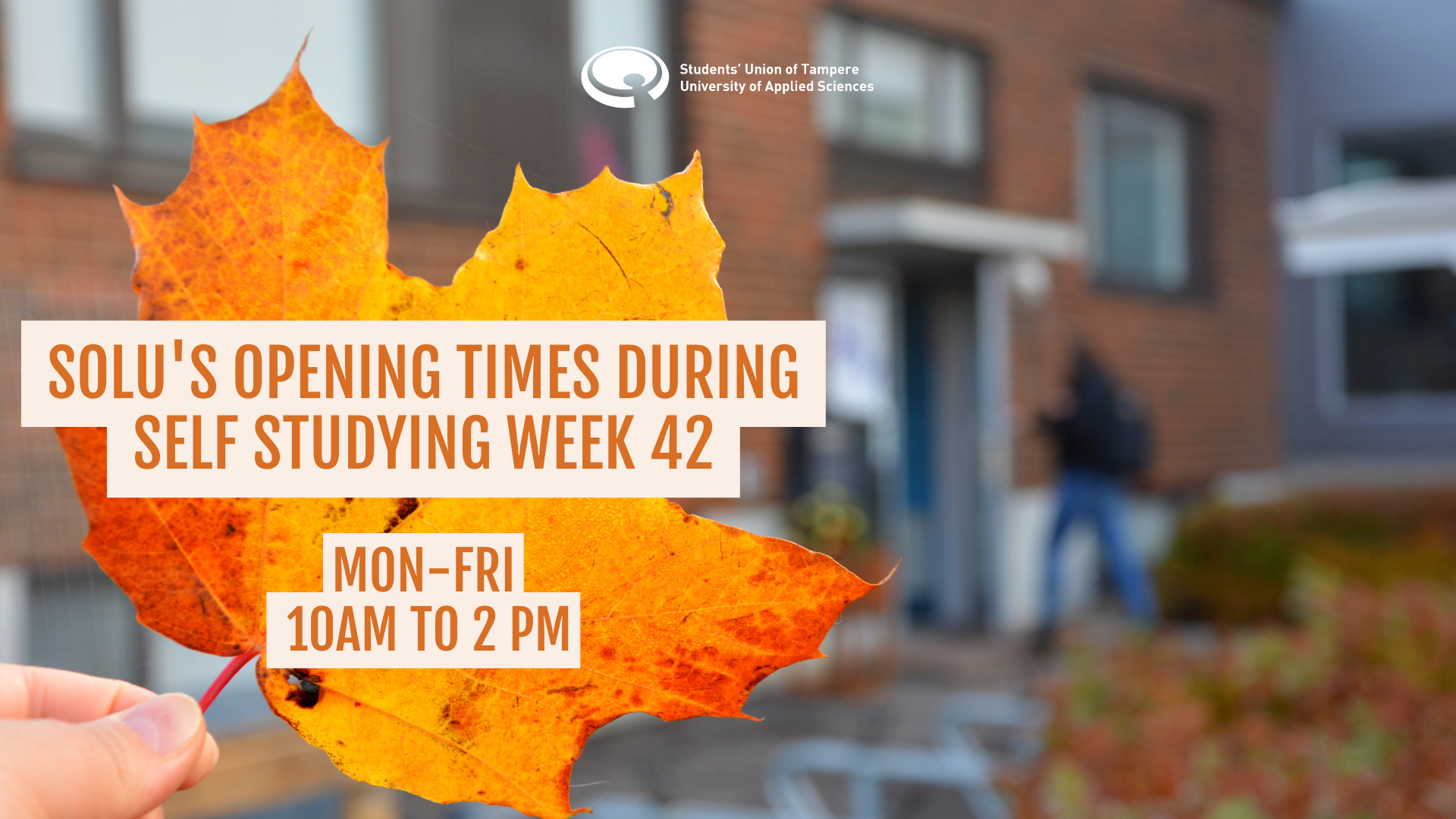 Solu’s opening times during self studying week 42