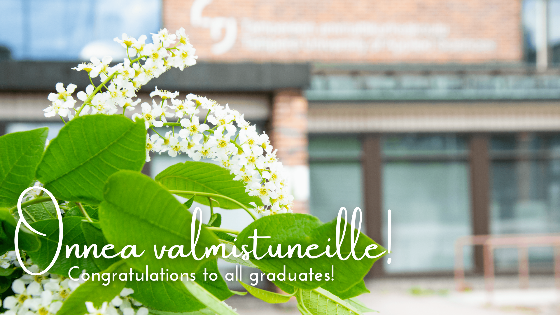 Congratulations to all graduates of the spring!